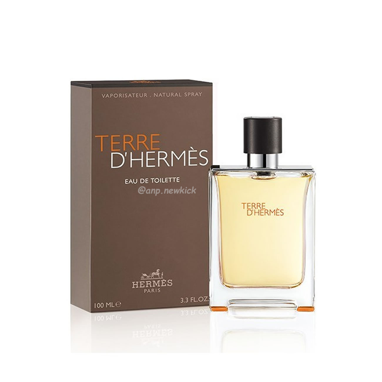 Hermes Terre D Pour Homme Edt 100ml (1) - newkick.app